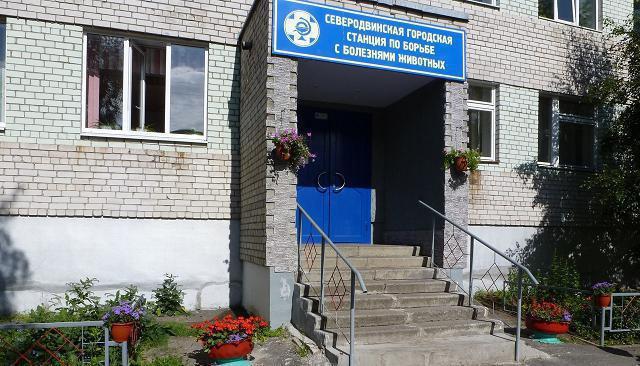 ветеринарску клинику у Северодвинску