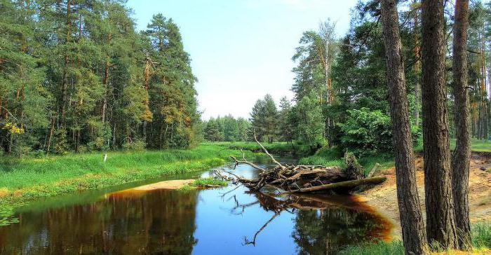 преглед реке нервозног риболова