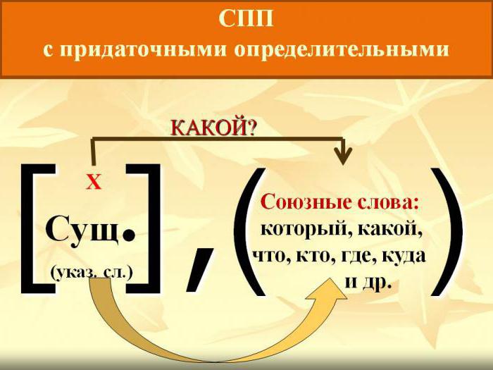 Придатоцхное дефинитиве екамплес