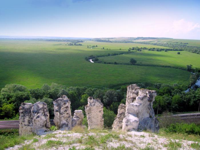 дивногоре Воронеж регионски празници 