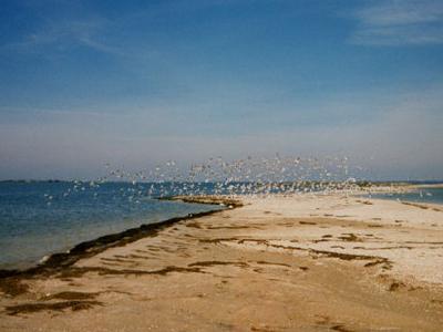 Знаменитости Бердианск - море, ваздух и вода?