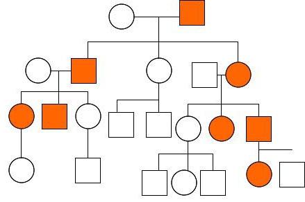 аутосомална доминантна врста наслеђивања